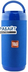 T&G TG-113C АККУМУЛЯТОР АКБ БАТАРЕЯ