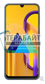 Нижняя плата для Samsung Galaxy M30s с разъемом для зарядки и микрофоном - фото 167203