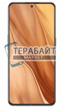 REALME GT 2 MASTER EXPLORER ТАЧСКРИН + ДИСПЛЕЙ В СБОРЕ / МОДУЛЬ - фото 167638