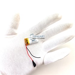 Centurion TANGO V3 АККУМУЛЯТОР (акб батарея) - фото 182933