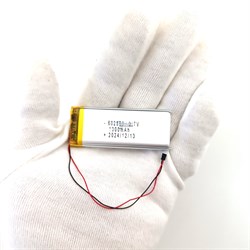 RadiaCode-101 АККУМУЛЯТОР (акб батарея) - фото 183127