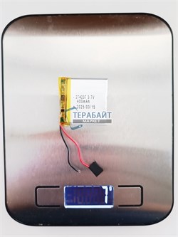 Sony NWZ-E445 АККУМУЛЯТОР (акб батарея) - фото 186367