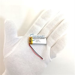 Ruccess LD100 АККУМУЛЯТОР (акб батарея) - фото 186581