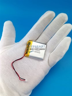 Sony WH-XB900N АККУМУЛЯТОР (акб батарея) - фото 191283