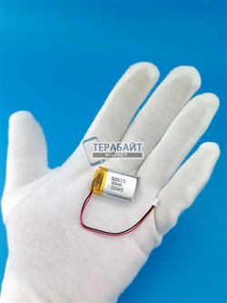 DATAKAM 6 ECO АККУМУЛЯТОР (акб батарея) - фото 191690