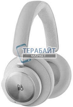 BANG & OLUFSEN BeoPlay АККУМУЛЯТОР (акб батарея) - фото 200406