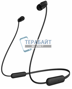 Sony WI-C200 АККУМУЛЯТОР (акб батарея) - фото 201049