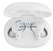 TFZ Q1 АККУМУЛЯТОР (акб батарея)