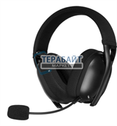 ARDOR GAMING Temple PRO АККУМУЛЯТОР (акб батарея)