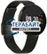 BandRate Smart BRS3131SW1212 АККУМУЛЯТОР АКБ БАТАРЕЯ