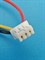 Аккумулятор универсальный литий полимерный li-pol 3.7v вольт 3pin 3 провода с платой + коннектор (разъем фишка) 925mAh 703040 размеры батареи 7х30х40 - фото 208153